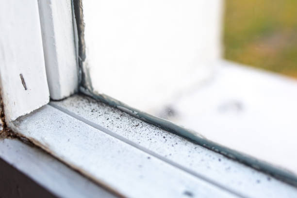 Best Mold Prevention Services  in Roslyn Estates, NY